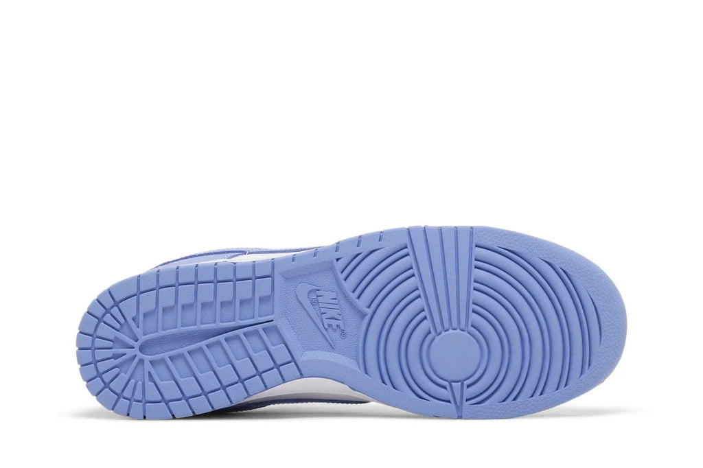 Nike Dunk Low Polar Blue Azul